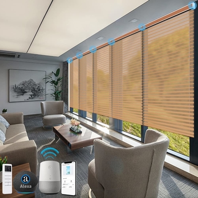 Βελτιωτικό εγχειρίδιο 2 "Σανγκρί-λα blinds Non Blackout Φωτιστικό φίλτρο για το σπίτι, το γραφείο, το ξενοδοχείο, το κλαμπ, το εστιατόριο Custom Made