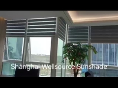 Βίντεο σκηνής με τα τζέμπρα