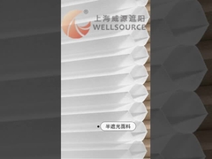 κυψελωτοί τυφλοί